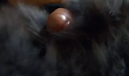 ( 시계 르 허브