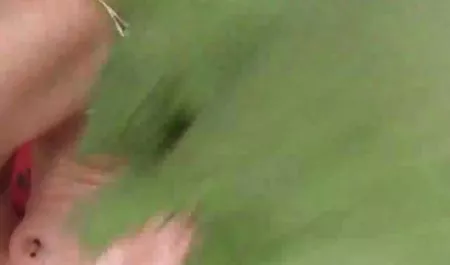 위스 여자,남자,여자에 새로운 포르노 온라인 동영상 부엌