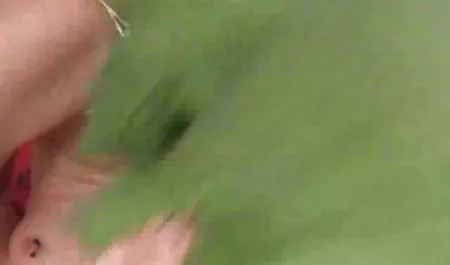 게 오이 많 포르노에 대한 무료